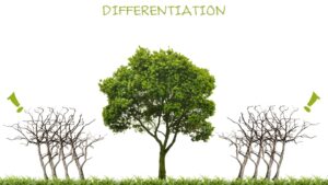 5 ways to differentiate your accounting firm