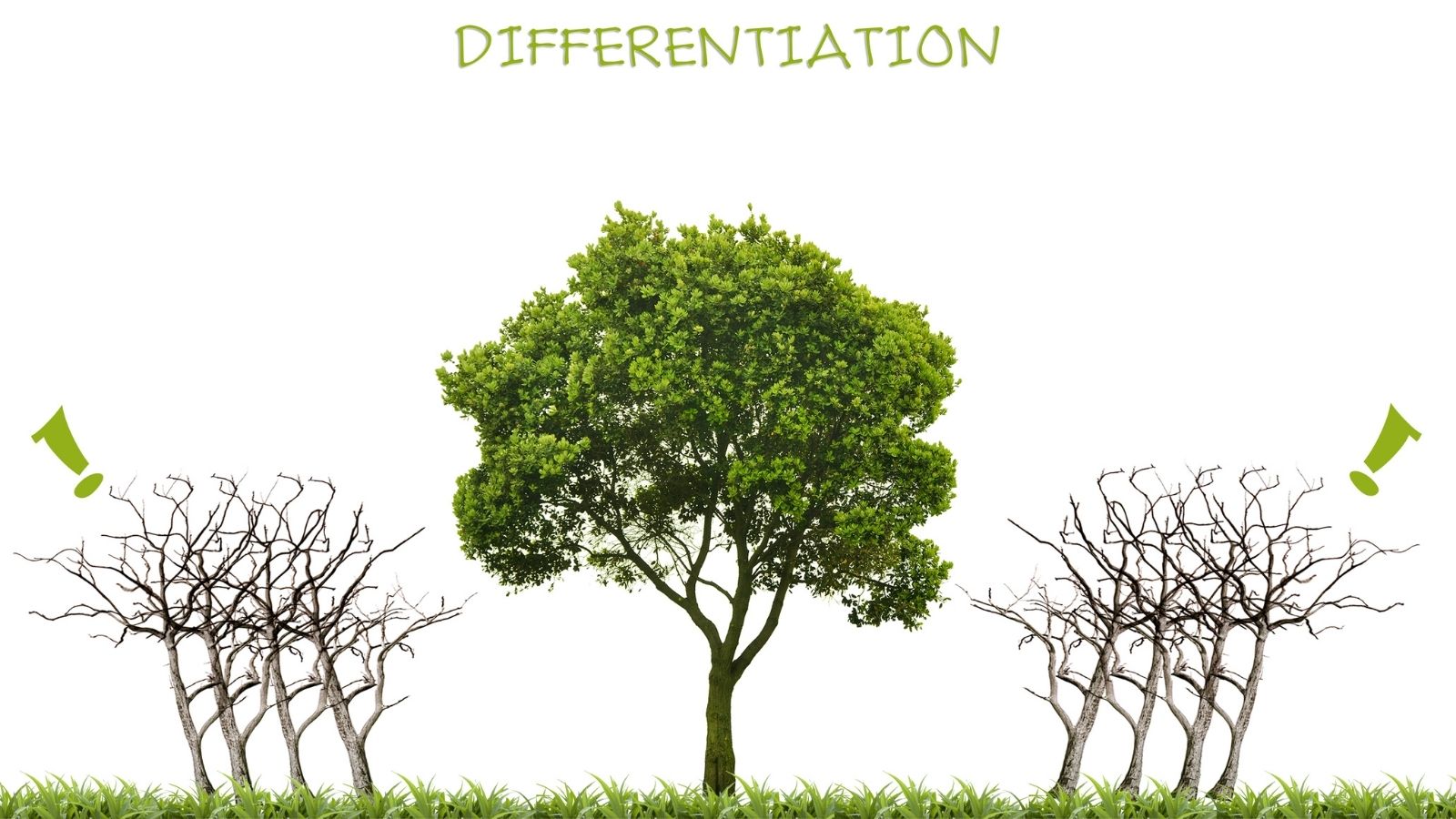 Read more about the article 5 ways to differentiate your accounting firm